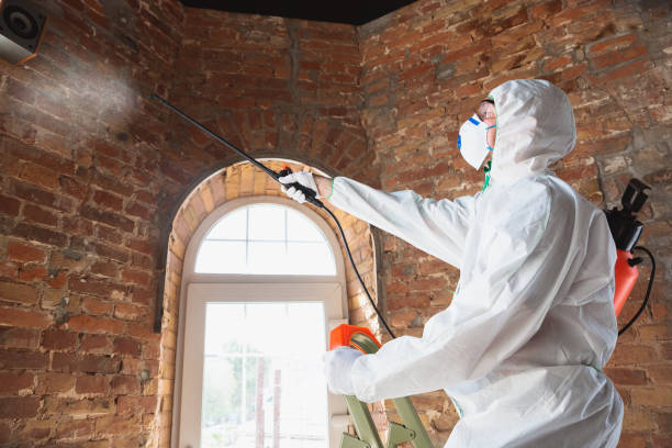 Mold Remediation for Vacation Homes in Palm Desert, CA